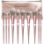 Beauty Inc. Stardust 10pcs Makeup Brush Set 